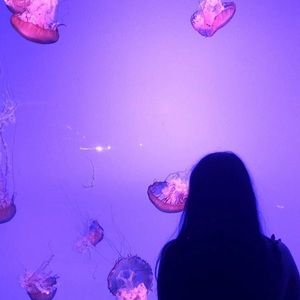 Meet your Posher, Eileen